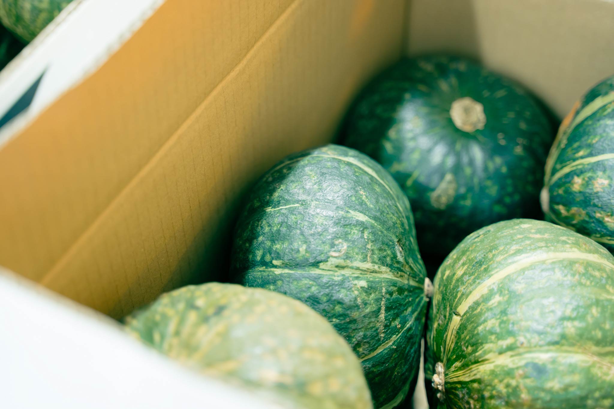 ヨシケイがお届けする野菜