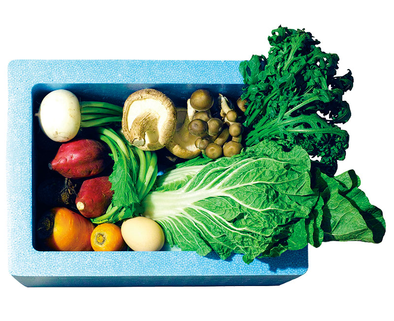 クールBOXに詰められた野菜と食材の例
