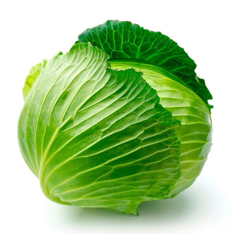 丸ごとのキャベツ